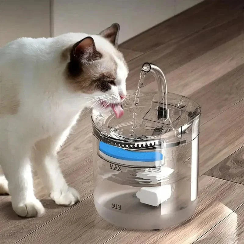 Distributeur d'eau pour chat