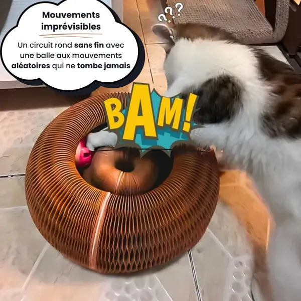 Royaume du chat™ | Griffoir interactif pour chats