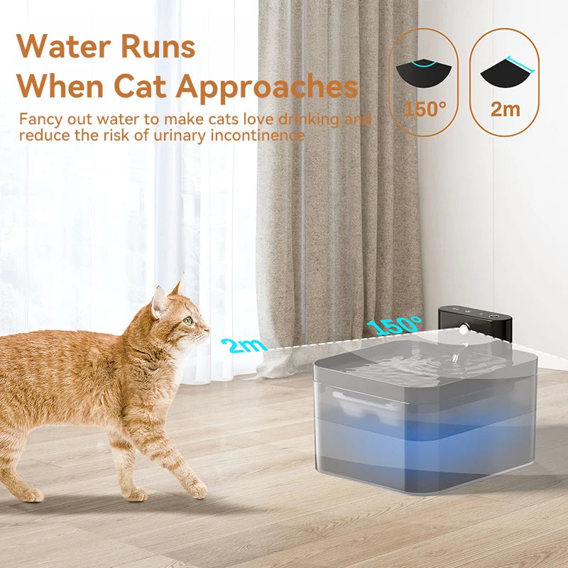 Fontaine à Eau Automatique - Sans Fil avec Capteur pour Chat