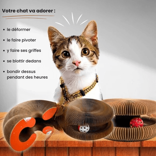 Royaume du chat™ | Griffoir interactif pour chats