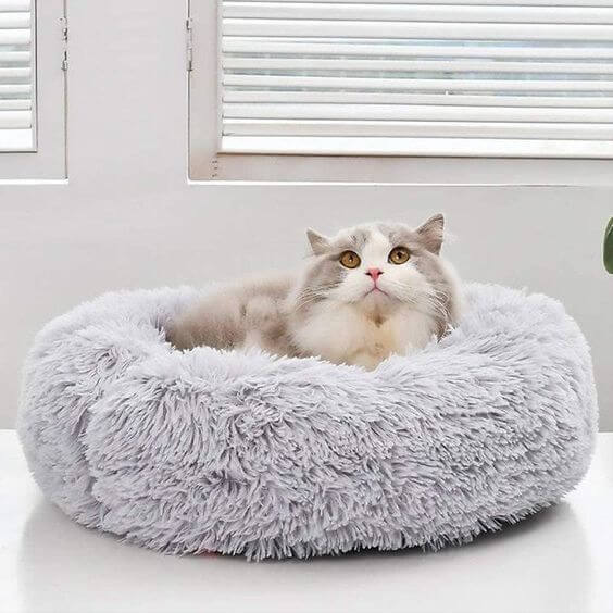 Coussin Apaisant Chat - Anti Stress