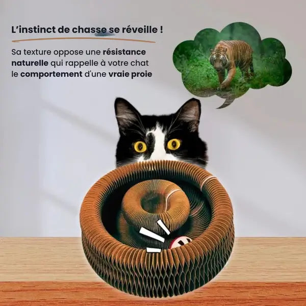 Royaume du chat™ | Griffoir interactif pour chats