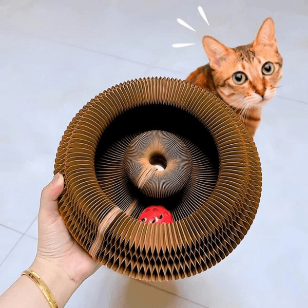 jouet chat interactif