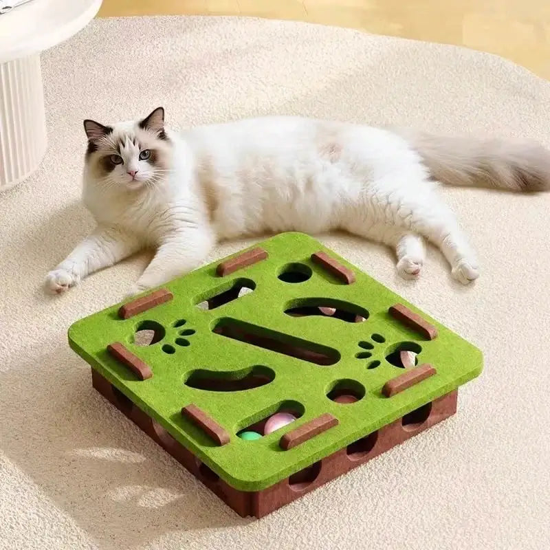 Jouet pour chat | ROYAUME CHAT BOX™
