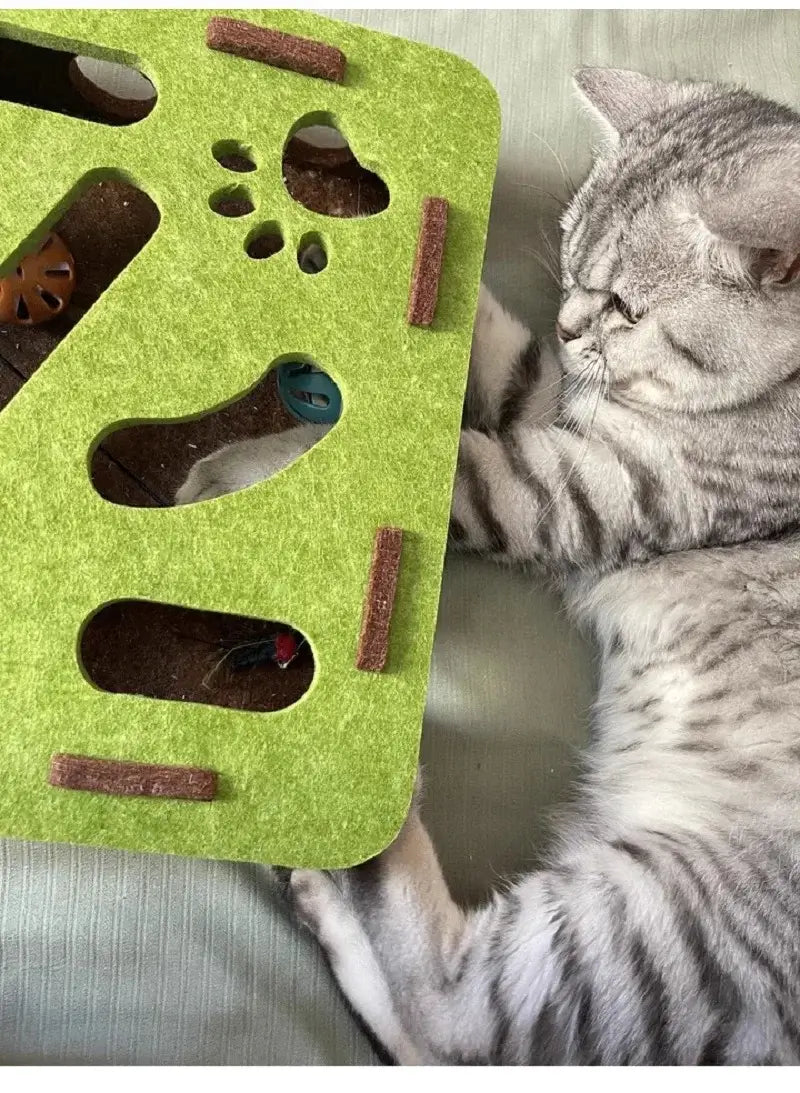 Jouet pour chat | ROYAUME CHAT BOX™