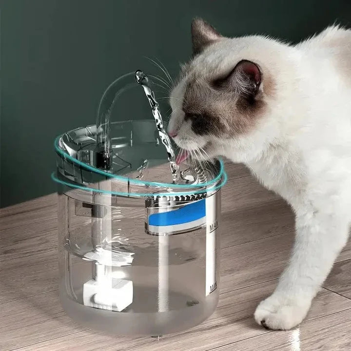 Fontaine à Eau pour Chat – Hydratation Continue & Eau Filtrée | Royaume du Chat™