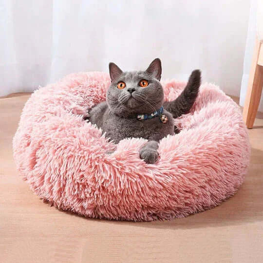 Coussin Apaisant Chat - Anti Stress
