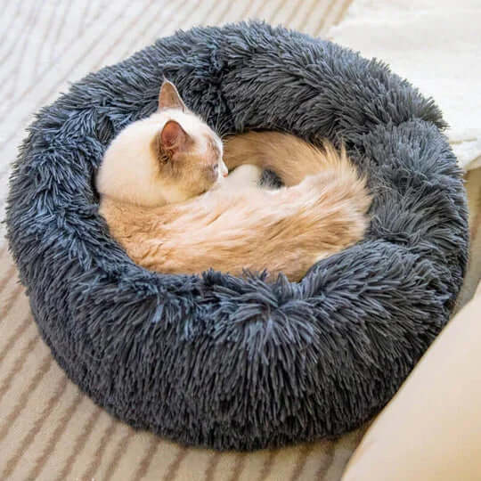 Coussin Apaisant Chat - Anti Stress
